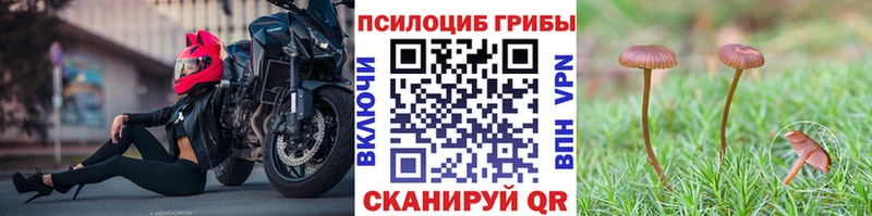 Купить где  Пущино  Галлюциногенные грибы мухоморы 